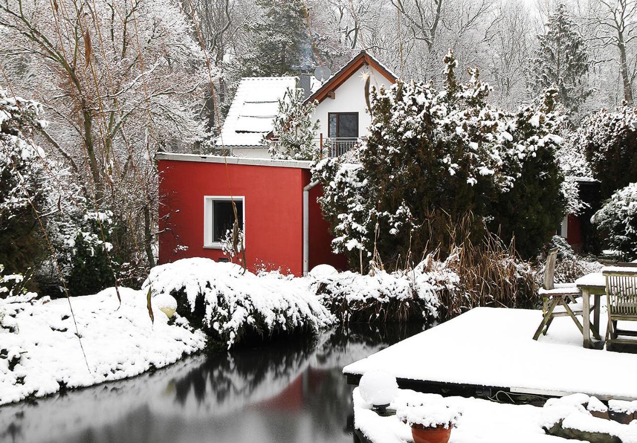 Haus Mit Kunst Zwischen Wald Und See Leipzig Eksteriør bilde
